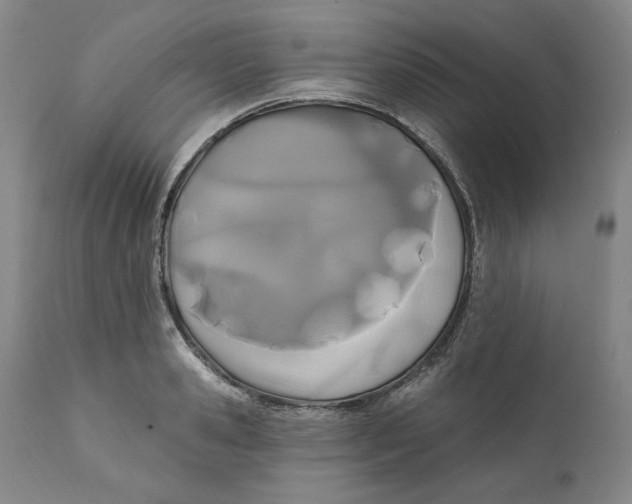 X0000110920941200907091454