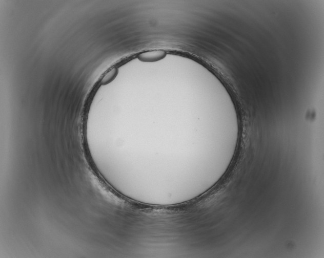 X0000110920942200907091454
