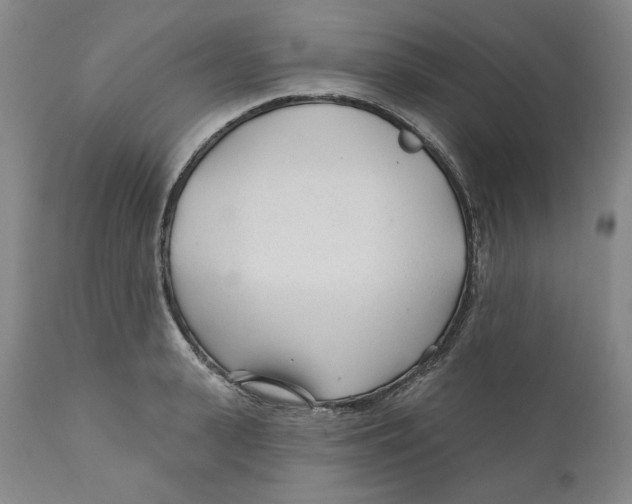 X0000110920943200907091454