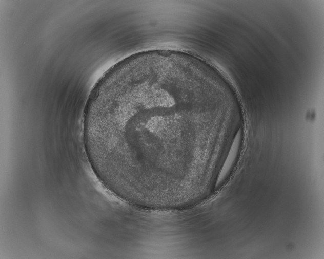 X0000110920944200907091454