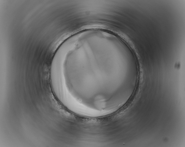 X0000110920945200907091454