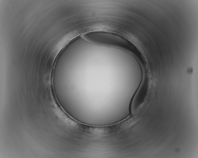 X0000110920946200907091454