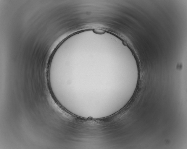 X0000110920947200907091454