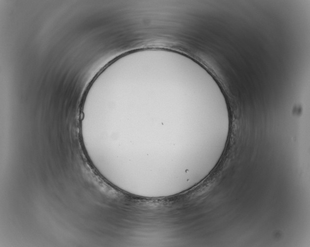 X0000110920948200907091454
