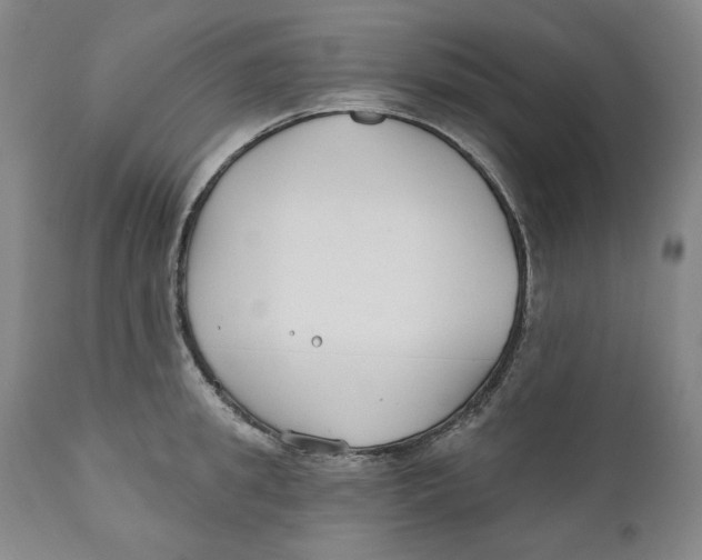 X0000110920949200907091454
