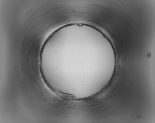 X0000110920951200907091454