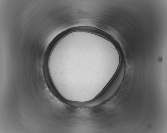 X0000110920952200907091454