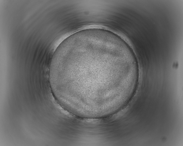X0000110920953200907091454