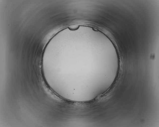 X0000110920954200907091454