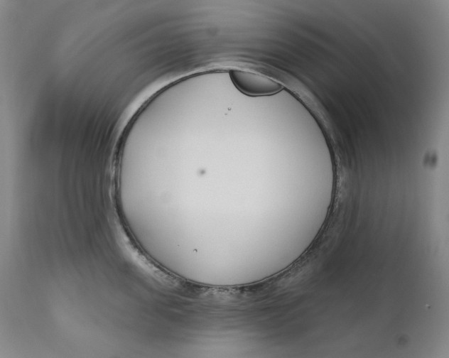 X0000110920955200907091454