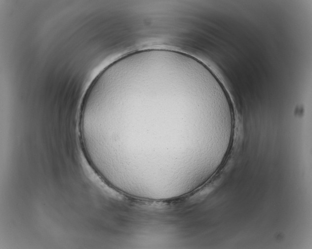 X0000110920957200907091454