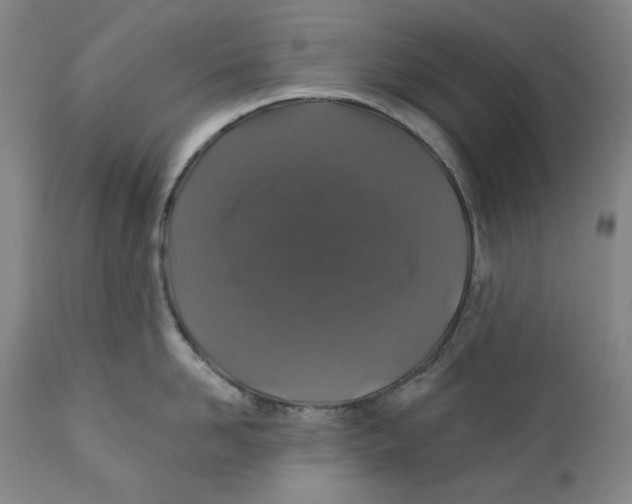 X0000110920958200907091454