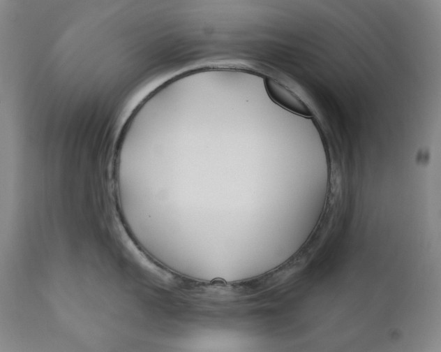 X0000110920959200907091454