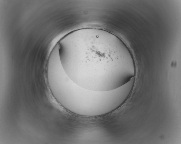 X0000110920960200907091454