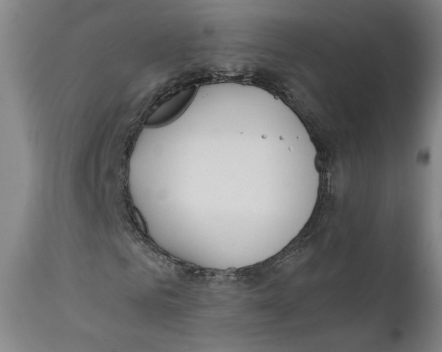 X0000110920961200907091453