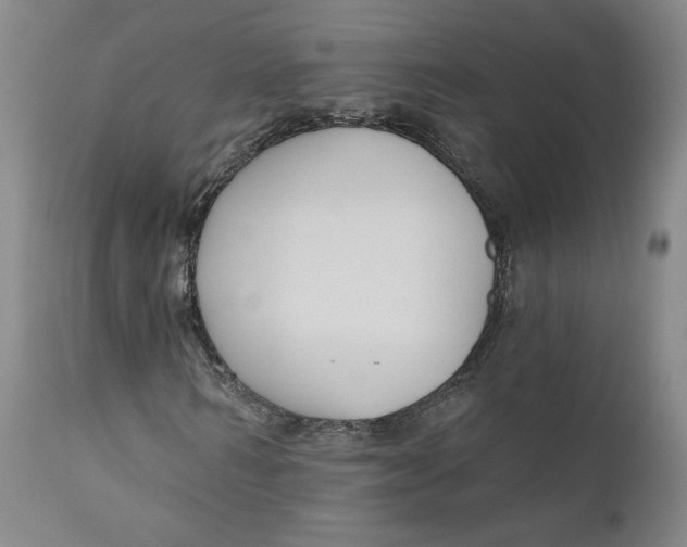 X0000110920962200907091453