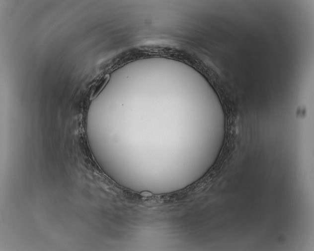 X0000110920965200907091453
