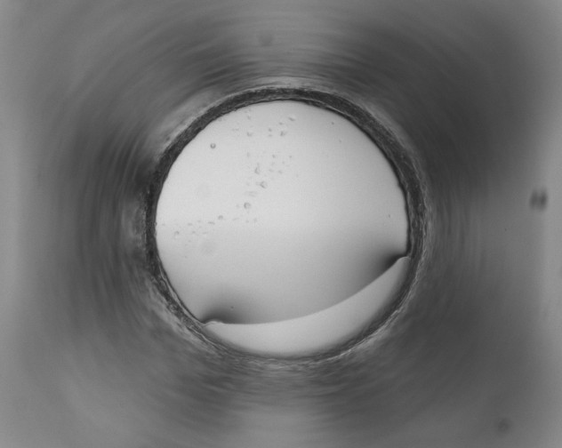 X0000110920969200907091453