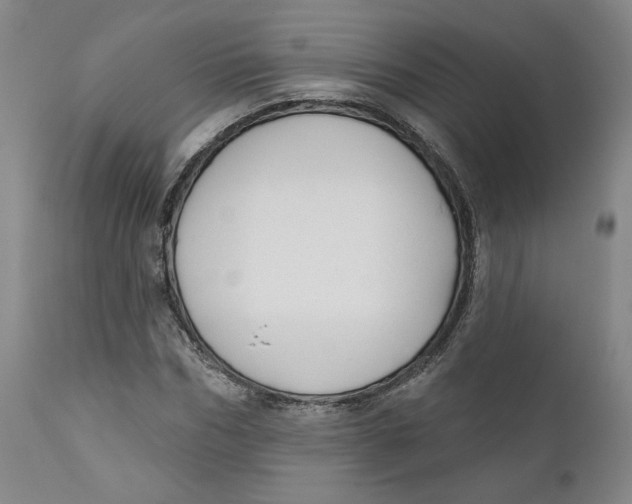 X0000110920970200907091453