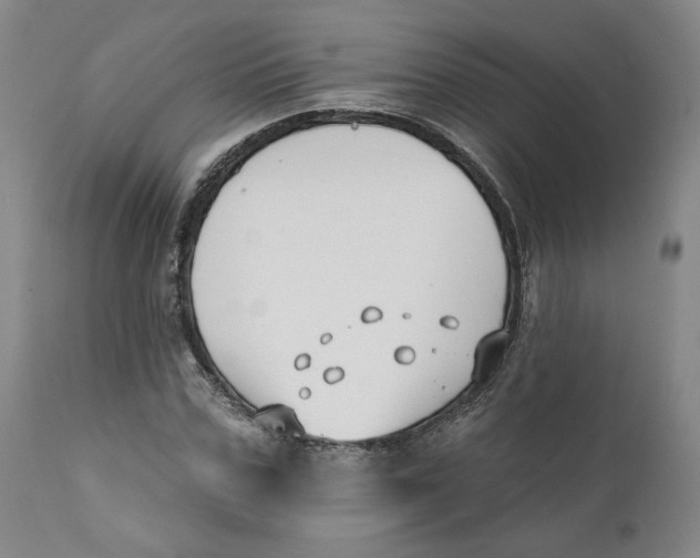 X0000110920971200907091453