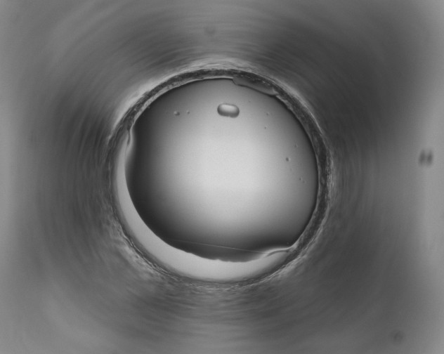 X0000110920973200907091453