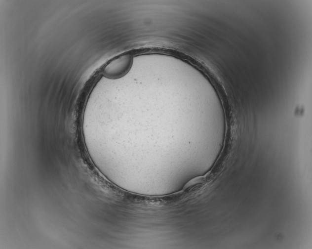 X0000110920975200907091453