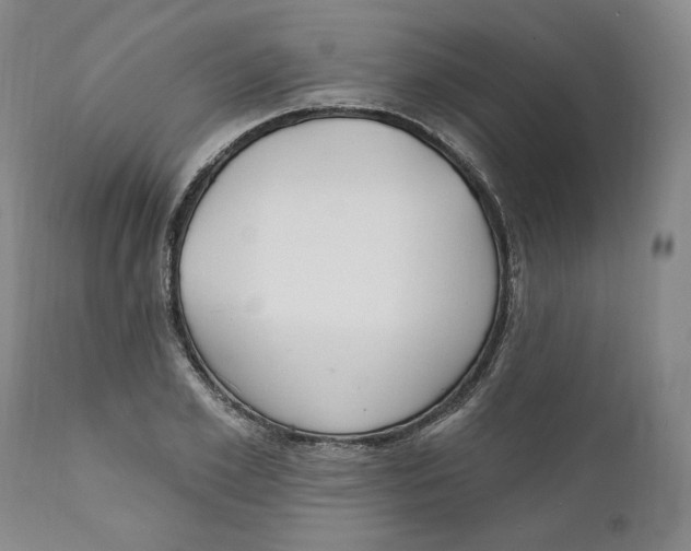 X0000110920981200907091453