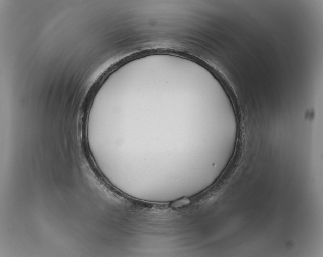 X0000110920983200907091453