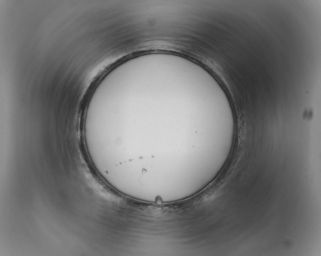 X0000110920987200907091453