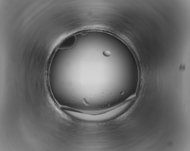 X0000110920989200907091453