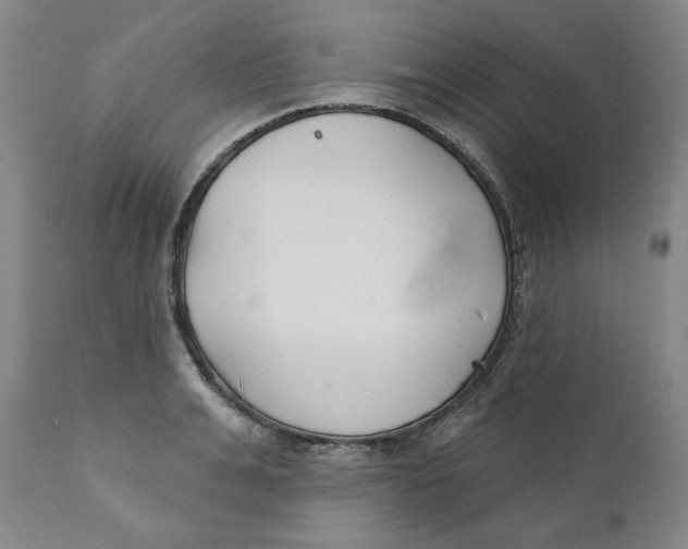 X0000110920991200907091453