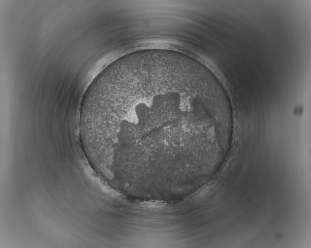 X0000110920994200907091453