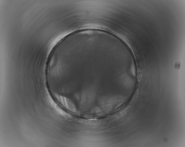 X0000110920995200907091453