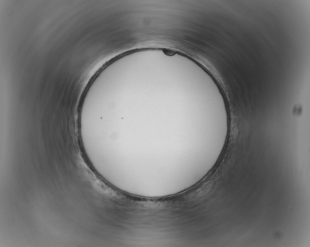 X0000110920996200907091453