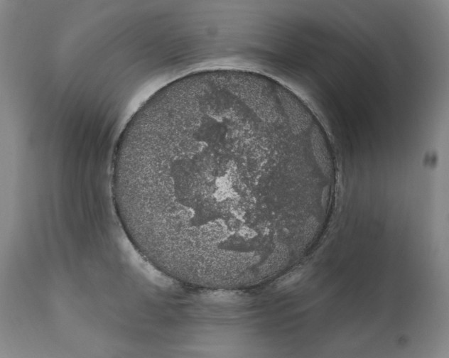 X0000110920998200907091453