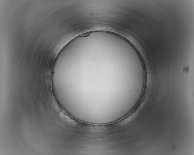 X0000110921001200907091453