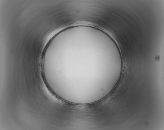 X0000110921003200907091453