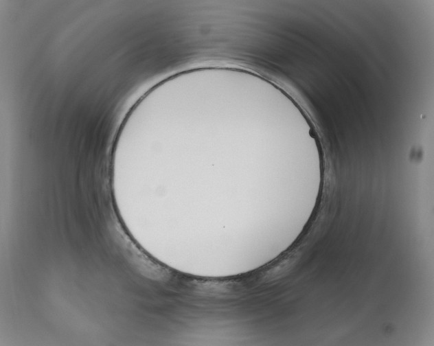X0000110921004200907091453