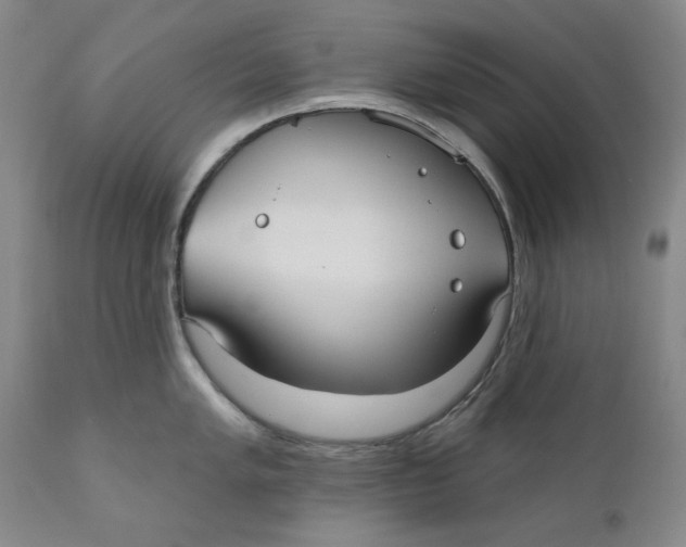 X0000110921005200907091453