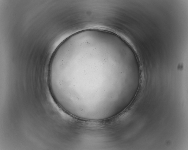 X0000110921007200907091453