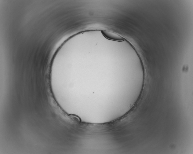 X0000110921008200907091453