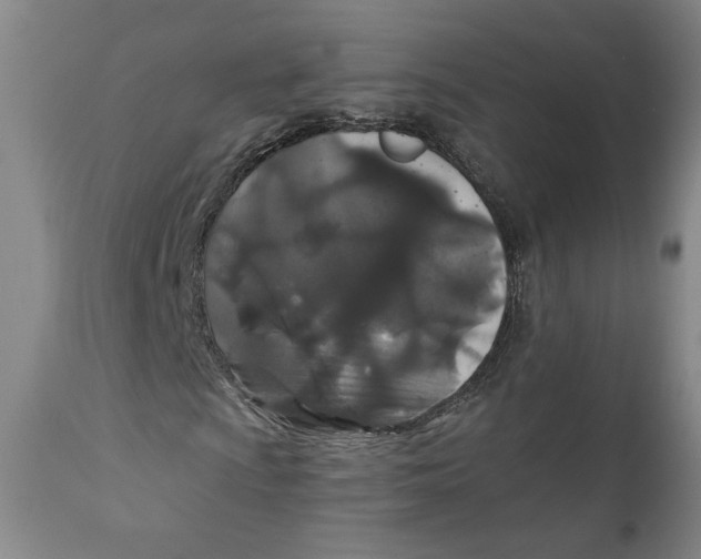 X0000110921009200907091452