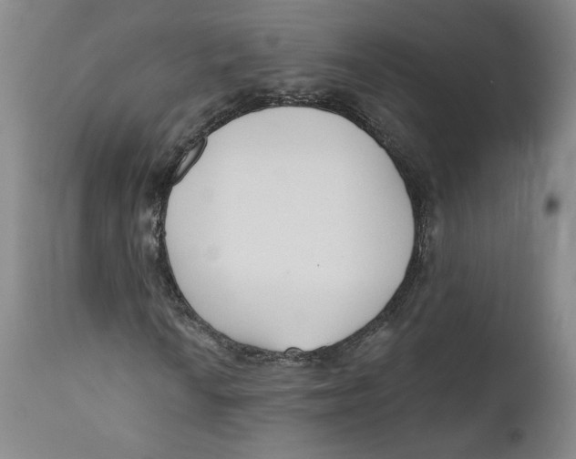 X0000110921010200907091452