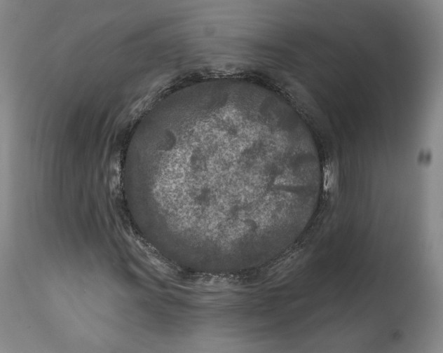X0000110921011200907091452
