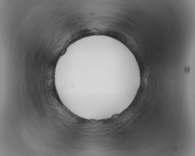 X0000110921012200907091452