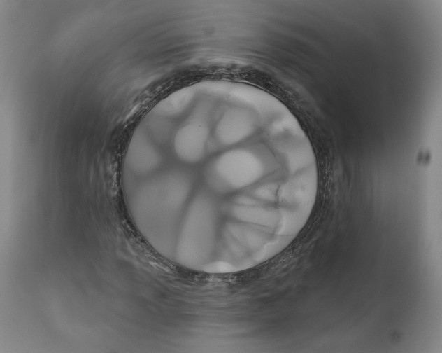 X0000110921013200907091452