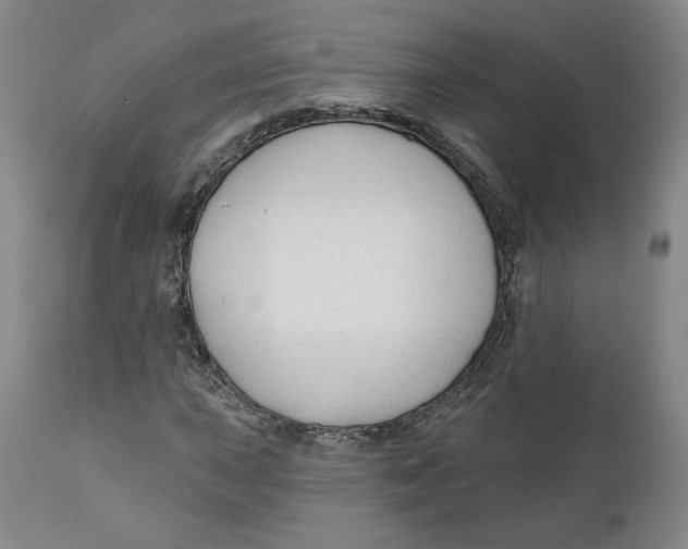 X0000110921015200907091452