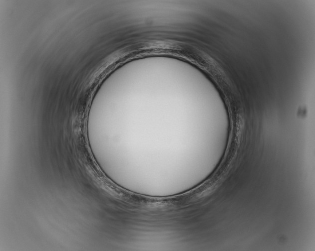X0000110921017200907091452