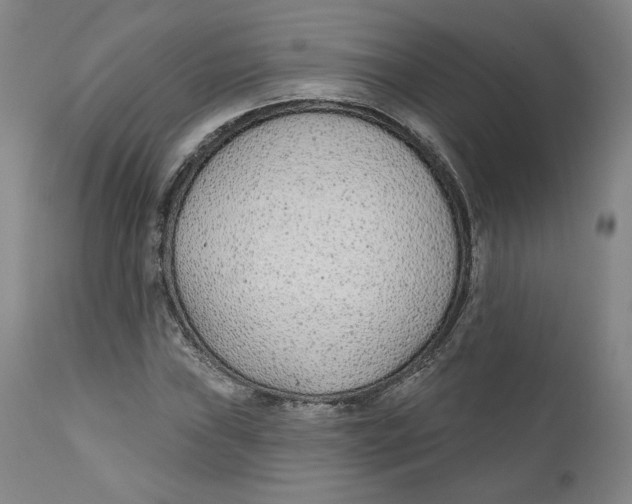 X0000110921019200907091452