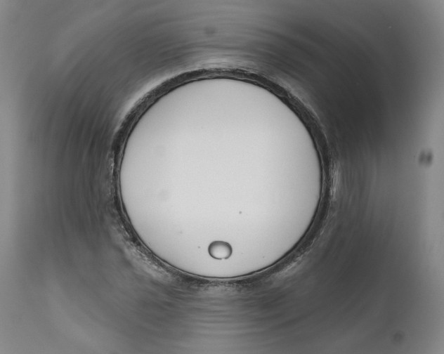 X0000110921021200907091452